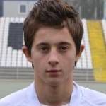 德里纳