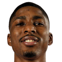 卡诺支柱